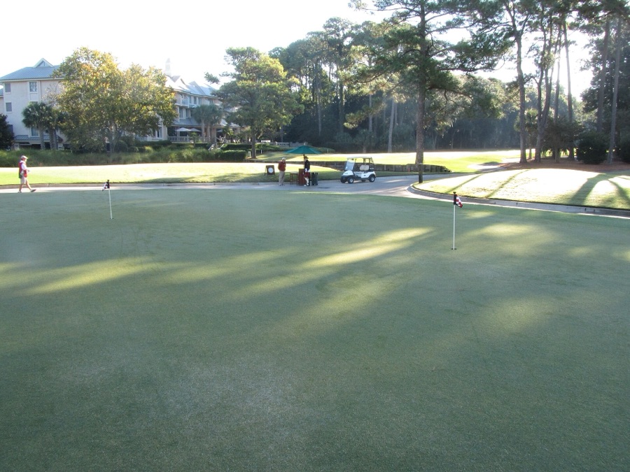 Another view of the course at Hilton Head.