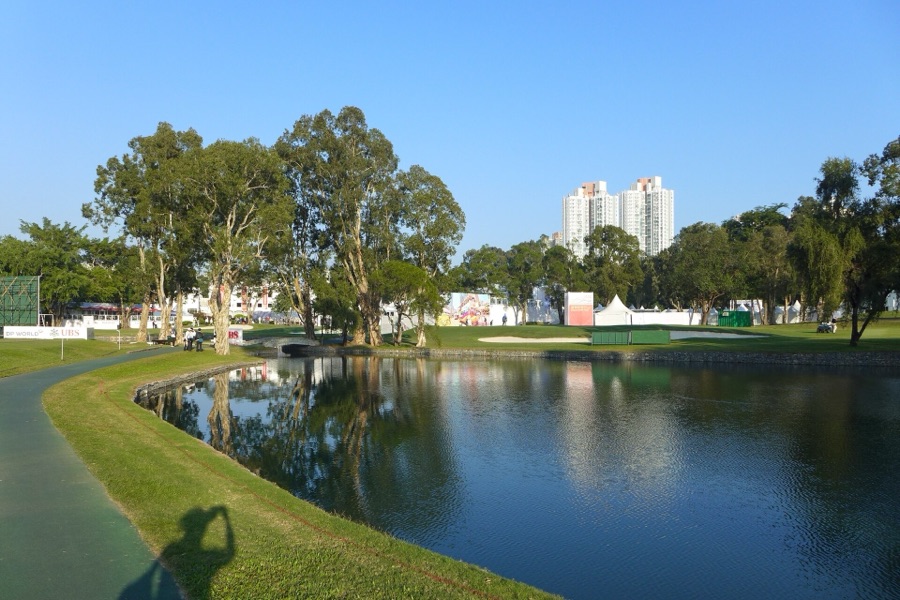Water, trees and the towers of the New Territories beyond.