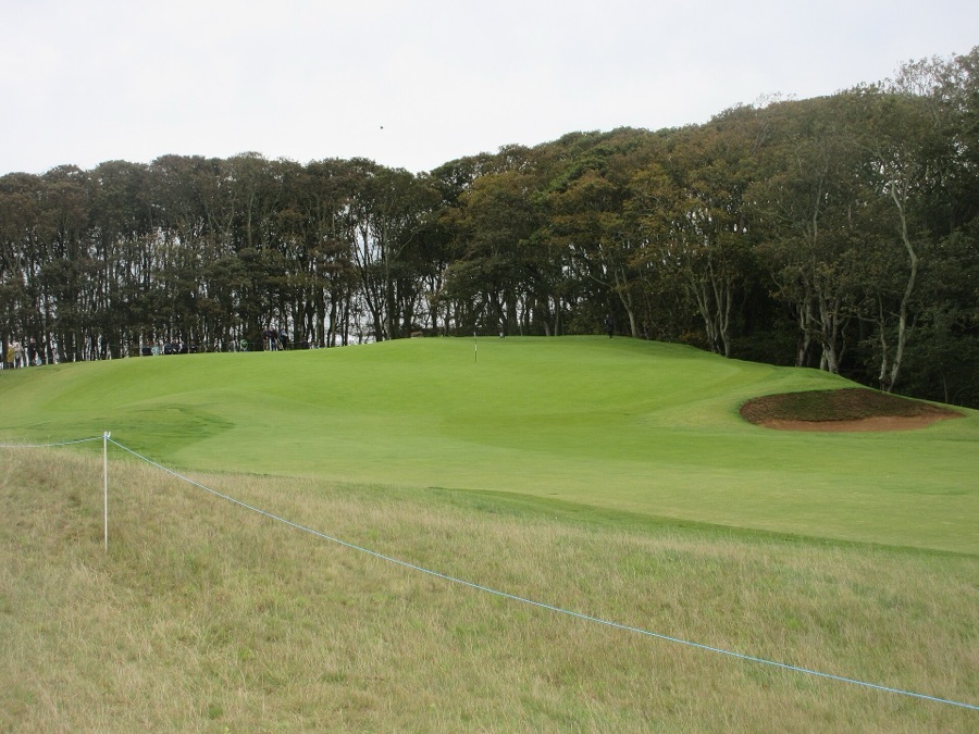 The 11th hole, beside the woods.