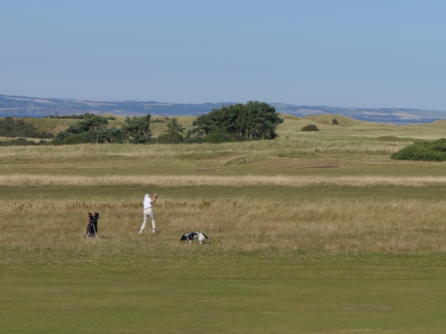 The course from the shore path.