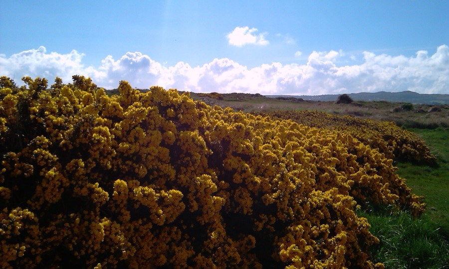 Portmarnock Golf Club, County Dublin.