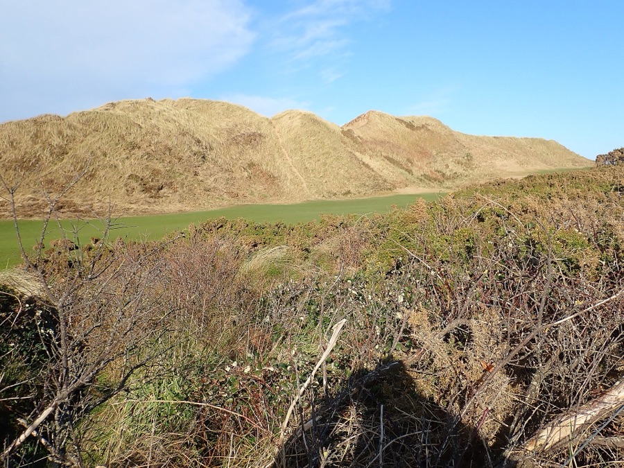 Dunes and fairway.