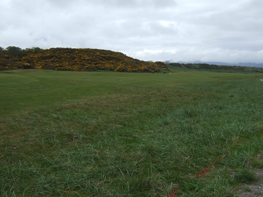A fairway climbing through the gorse.