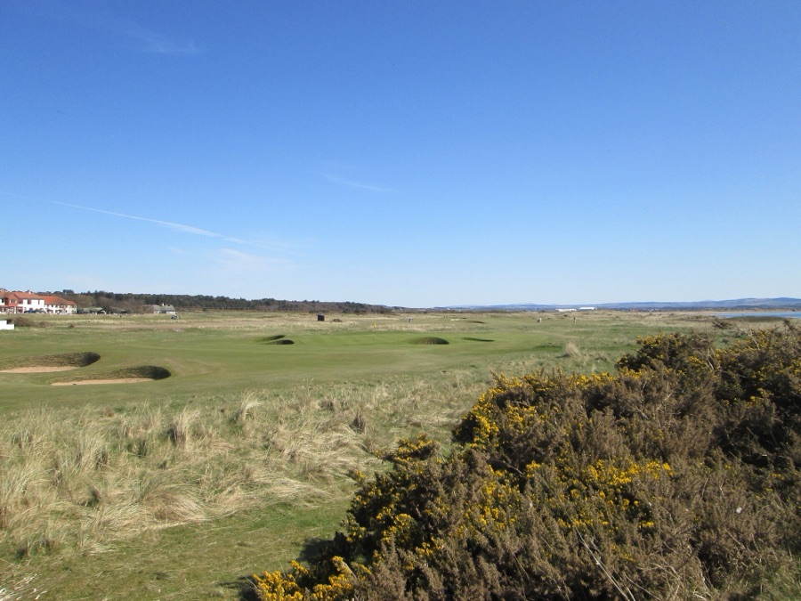 Looking south along the course, gorse in bloom.