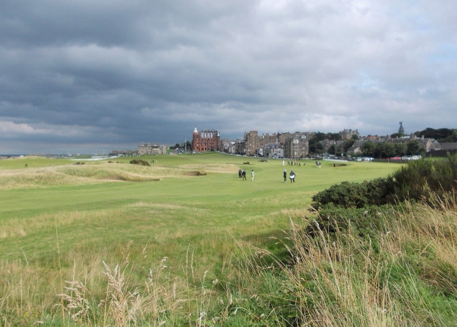 Gorse along the closing holes.