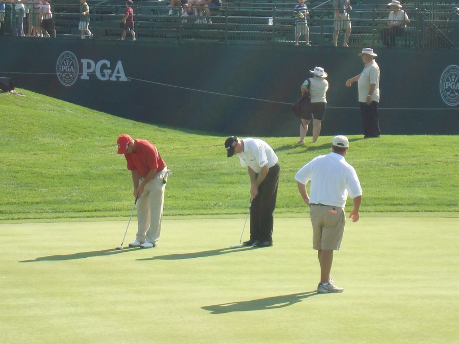 Golfers practising on a putting green at a tournament, a scoreboard and stands behind them.