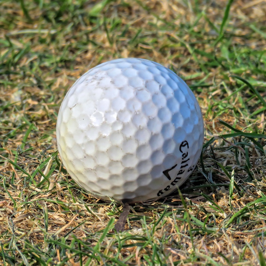 A golf ball sitting on mown grass, photographed close and low so the dimples and the turf are both sharp.